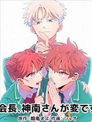 纸鸢街漫画改编条目封面